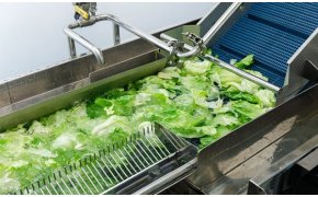 Những ưu điểm nổi bật của máy rửa rau công nghiệp