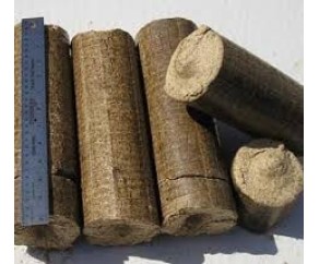 giá máy ép củi mùn cưa thủy lực.