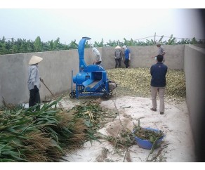 MÁY BĂM CÂY BẮP