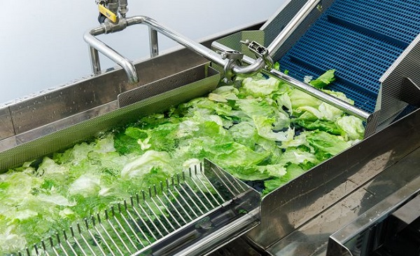 Những ưu điểm nổi bật của máy rửa rau công nghiệp